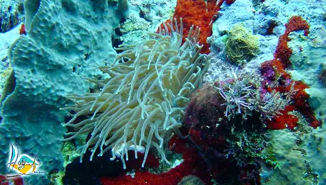 Un fond rocheux coloré éclairé de près