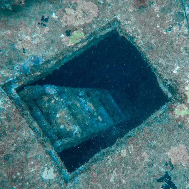 Une épave couverte d’algues claires dans l’eau sombre