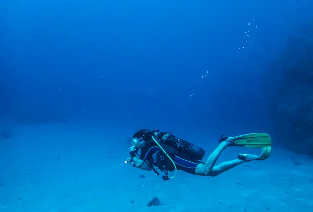 A diver drifting above a pale sandy bottom, in the blue