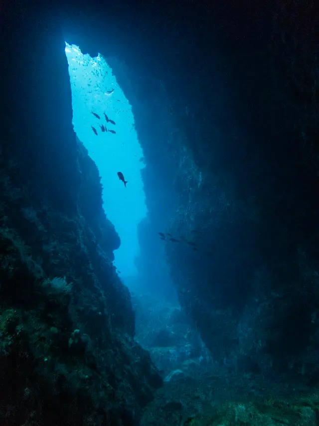 La faille du Rocher du Diamant, fente lumineuse entre deux parois rocheuses, avec des poissons en silhouette