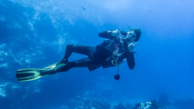 A carved underwater relief in blue water